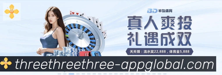 未来规划